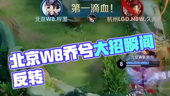 大胜黄蜂